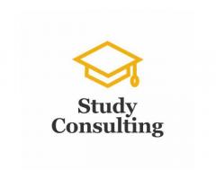 Компания Study Consulting ищет партнеров в России!